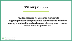 GSI FAQ Purpose Statement
